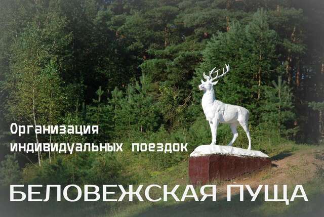 Апартаменты Brest City Center Apartment Брест-47